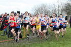 Junior boys 2019 New Balance English Schools Cross Country Champs, Temple Newsam, Leeds. Photo:  David T. Hewitson/Sports for All Pics